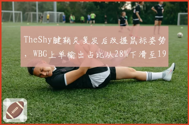 TheShy腱鞘炎复发后改握鼠标姿势，WBG上单输出占比从28%下滑至19%