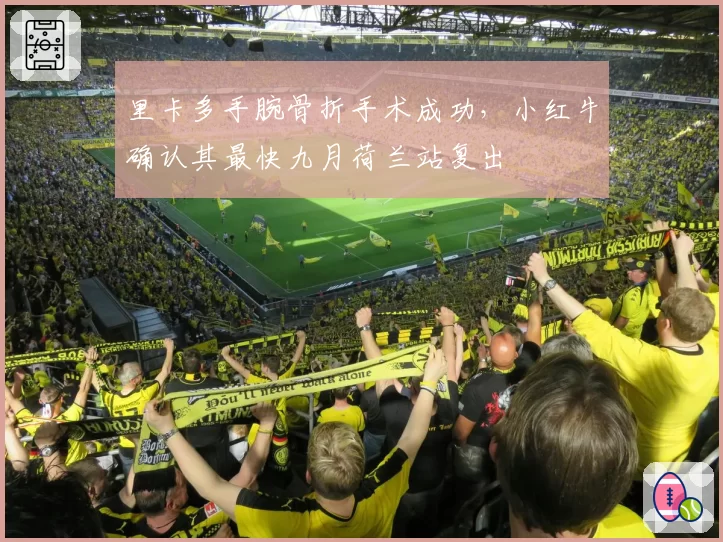 里卡多手腕骨折手术成功,小红牛确认其最快九月荷兰站复出