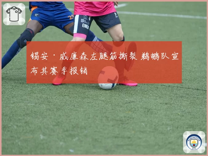 锡安·威廉森左腿筋撕裂 鹈鹕队宣布其赛季报销