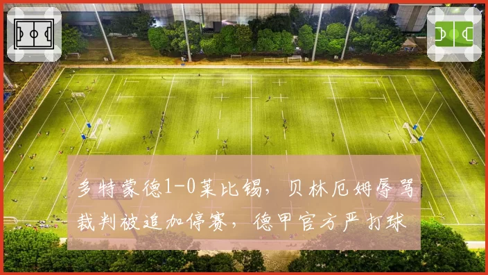 多特蒙德1-0莱比锡,贝林厄姆辱骂裁判被追加停赛,德甲官方严打球员不敬