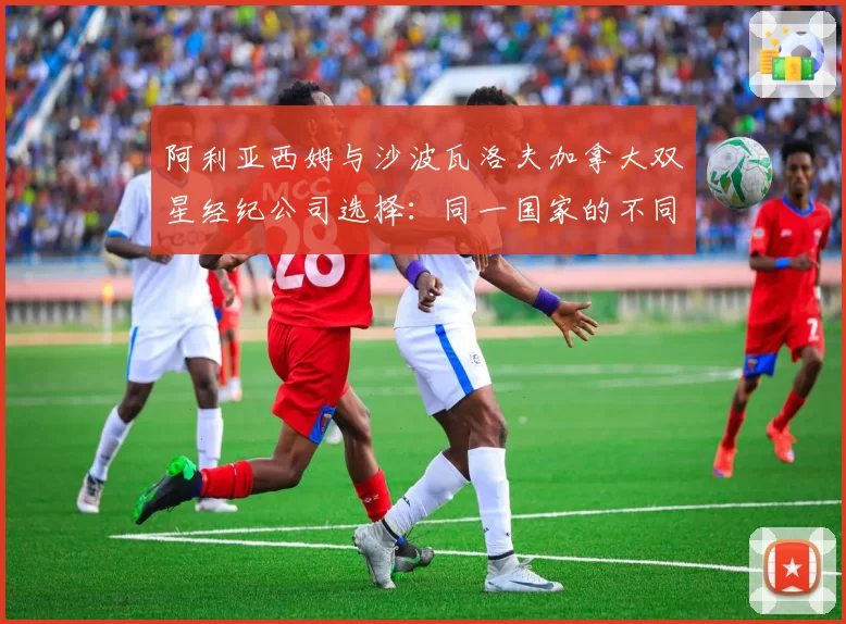 阿利亚西姆与沙波瓦洛夫加拿大双星经纪公司选择：同一国家的不同发展策略