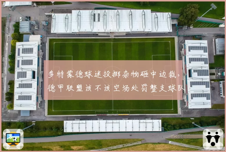 多特蒙德球迷投掷杂物砸中边裁，德甲联盟该不该空场处罚整支球队？
