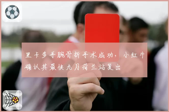 里卡多手腕骨折手术成功,小红牛确认其最快九月荷兰站复出