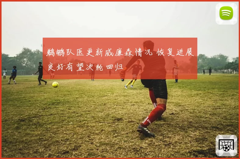 鹈鹕队医更新威廉森情况 恢复进展良好有望次轮回归